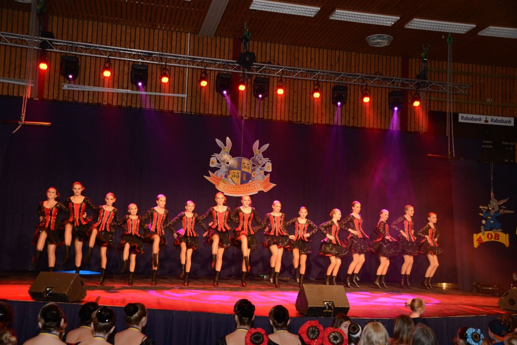 ../Images/Dansmarieke festival 2015 162.jpg